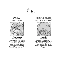 Page 18 of Pigeons BLFriends | HatoYuru-fuwa Sefure Riba