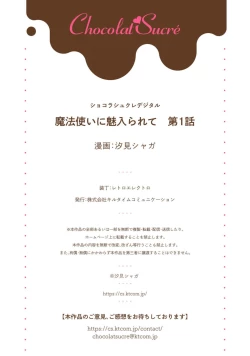 Page 27 of Mahoutsukai ni Miirarete | 被魔法使所魅惑 1