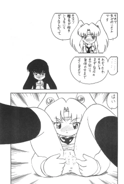 Page 13 of Reisei no Houteishiki