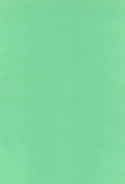 Page 4 of ChaChaCha World