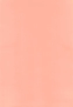 Page 4 of TWINKLE☆PRINCESS