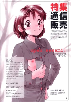 Page 3 of Pocket Dll