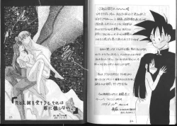 Page 18 of Dragonball for adult
