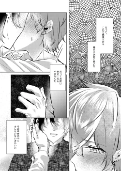 Page 27 of Shiawase no Touhikou