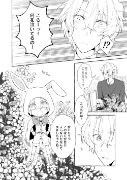 Page 41 of Mimosa no Namida