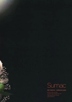 Page 40 of VERITABLE