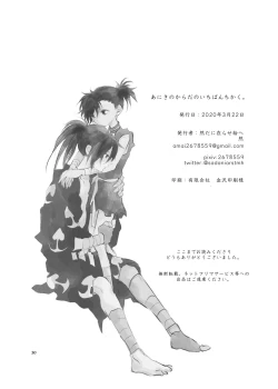 Page 29 of Aniki no Karada no Ichiban Chikaku.