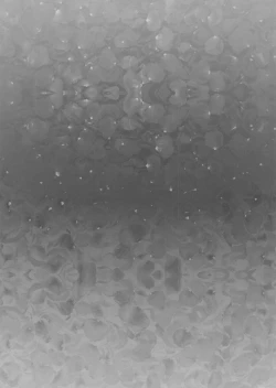 Page 13 of The Escort and the Flower Girl