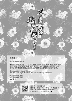 Page 41 of Maid no Kirina wa Bocchama ni Tsukushitai