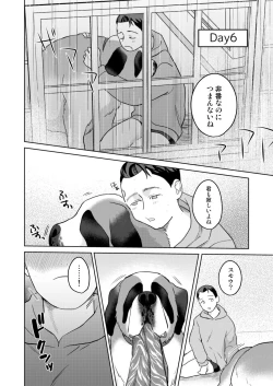 Page 12 of Hankona Hon