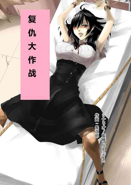 Download Revenge big strategy for the impregnable woman