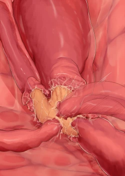 Page 56 of Tentacle Garden