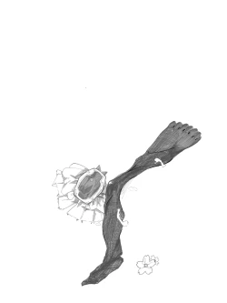 Page 8 of 是西丝特！