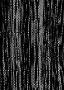 Page 2 of Mayonaka o Houkou