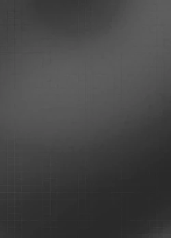 Page 19 of ArgentaArgentorum