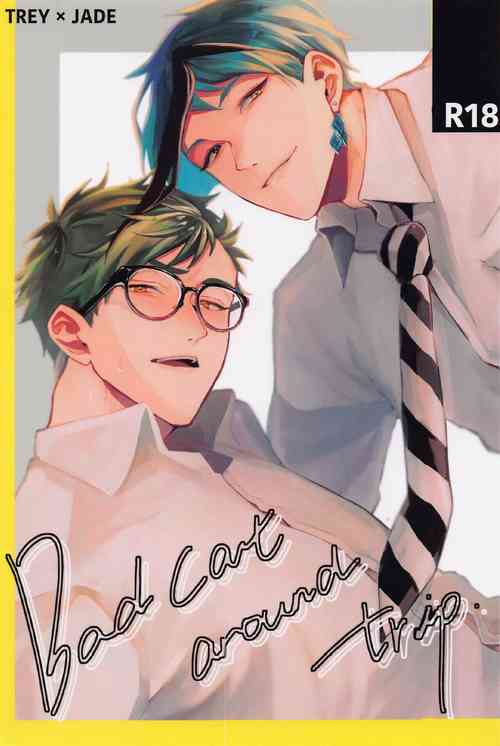 Download Bat Cat arond Trip．