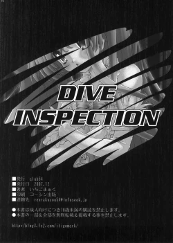 Page 53 of DIVE INSPECTION