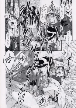 Page 17 of CATTLEYA NE-CHAN DAIKATSUYAKU!!