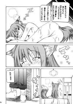 Page 13 of Kousinryou wo Ookami ni Ⅰ