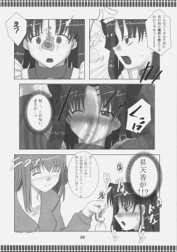 Page 27 of Fortune Jewel