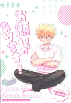 Page 45 of Onegai ga Arimasu!