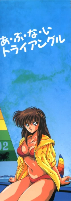 Page 4 of Abunai Triangle