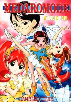 Page 1 of MEDAROMODE II