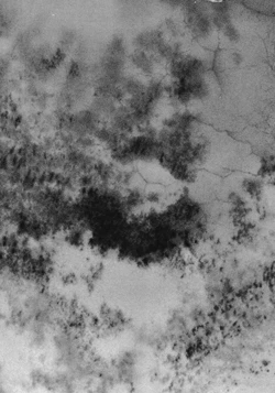 Page 194 of No Mercy