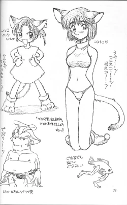 Page 35 of Ura Sanyou Ukou Rayearth