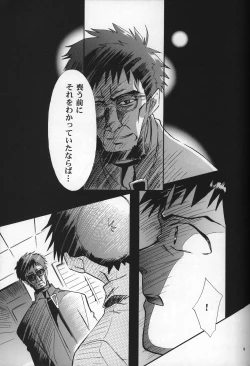 Page 10 of <Shinyaku> neon genesis document G