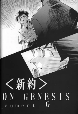Page 11 of <Shinyaku> neon genesis document G