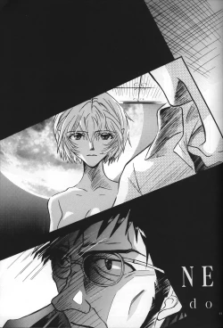 Page 12 of <Shinyaku> neon genesis document G