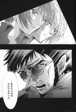 Page 17 of <Shinyaku> neon genesis document G