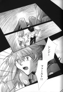 Page 25 of <Shinyaku> neon genesis document G