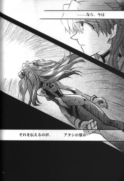 Page 36 of <Shinyaku> neon genesis document G