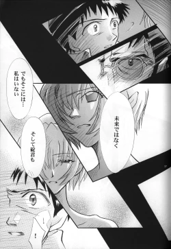 Page 39 of <Shinyaku> neon genesis document G