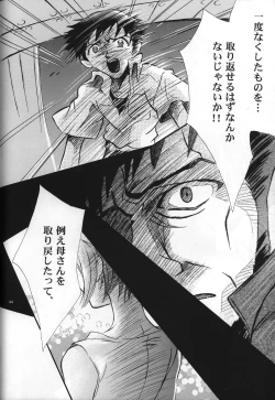 Page 46 of <Shinyaku> neon genesis document G