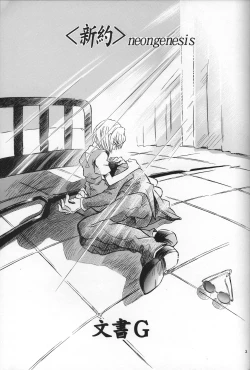 Page 4 of <Shinyaku> neon genesis document G
