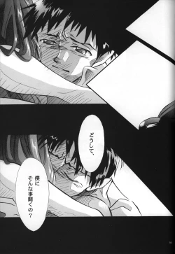 Page 61 of <Shinyaku> neon genesis document G