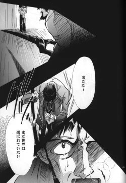 Page 65 of <Shinyaku> neon genesis document G