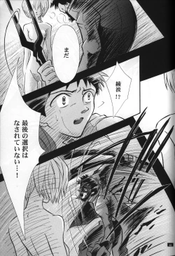 Page 67 of <Shinyaku> neon genesis document G