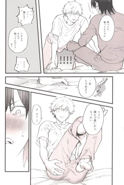 Page 27 of Shoudouteki Shinya