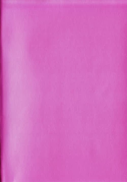 Page 6 of Hisae Haitoku Nikki Kanzenban Jou