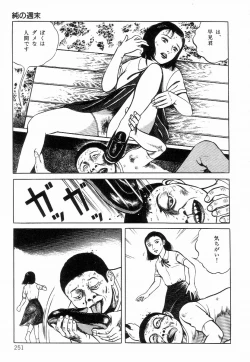 Page 259 of Chimamire Tenshi