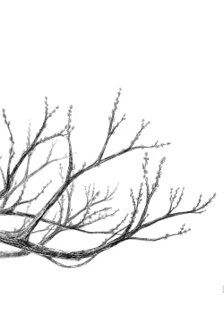 Page 111 of Hikari no Kimi no Saganaki Keikaku <Soushuuhen>