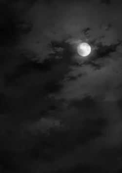 Page 127 of Hikari no Kimi no Saganaki Keikaku <Soushuuhen>