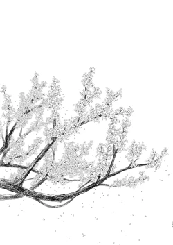 Page 169 of Hikari no Kimi no Saganaki Keikaku <Soushuuhen>