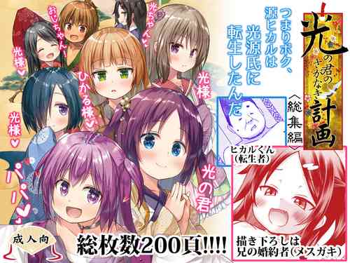 Download Hikari no Kimi no Saganaki Keikaku <Soushuuhen>