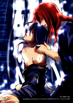 Page 1 of Secret Mission