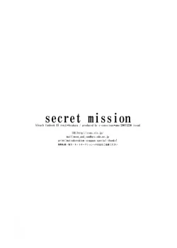 Page 29 of Secret Mission